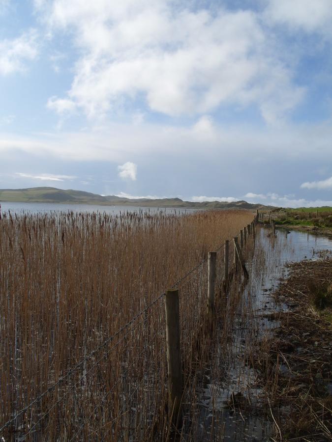 Hotel The Mill Dunfanaghy Exterior foto