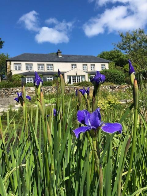 Hotel The Mill Dunfanaghy Exterior foto